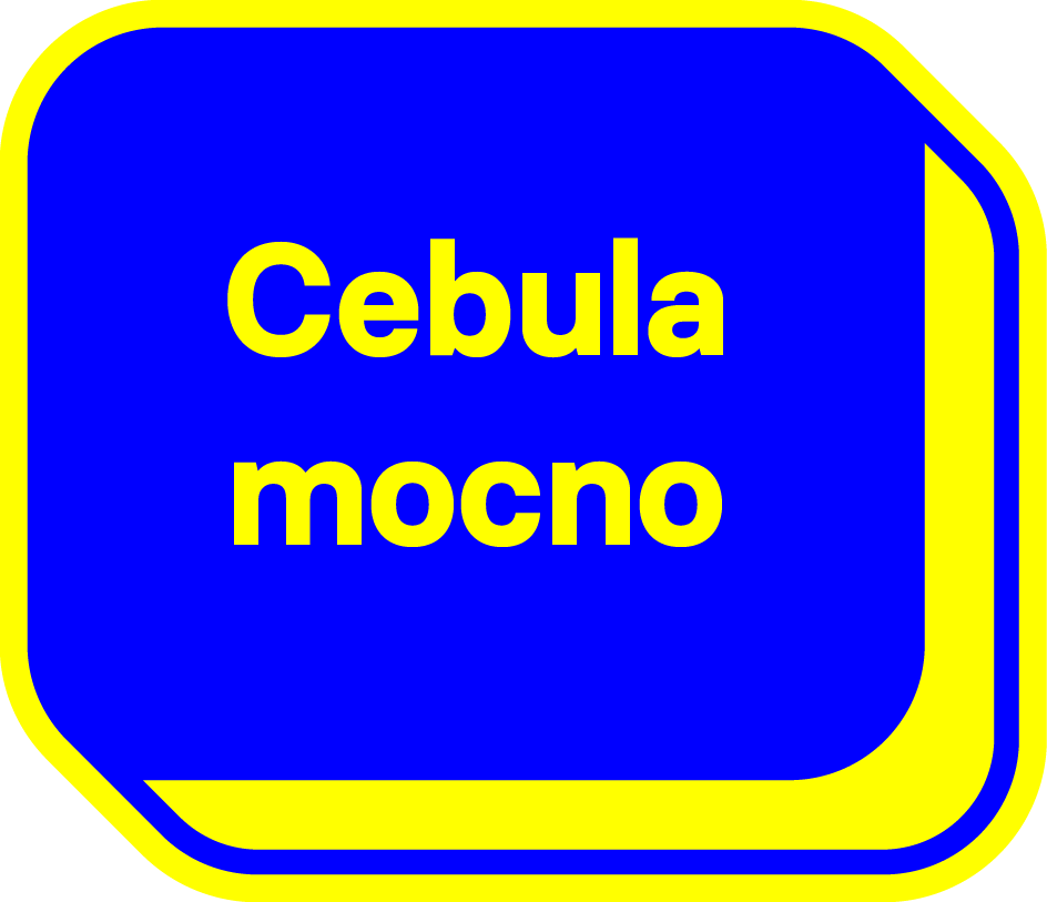 :ywp_cebula: