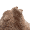 :vibe_rabbit: