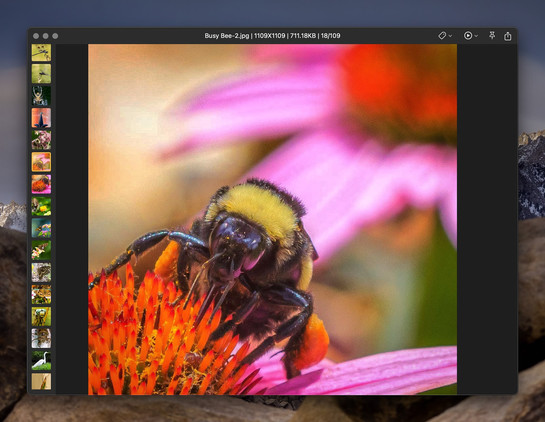 Photo Management
